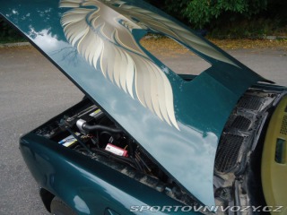 Pontiac Firebird Trans Am 6.6l Man ,Nový m 1979