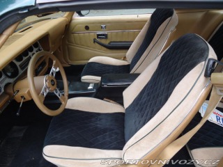 Pontiac Firebird Trans Am 6.6l Man ,Nový m 1979
