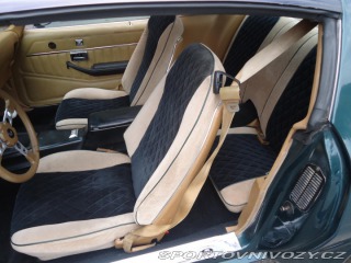 Pontiac Firebird Trans Am 6.6l Man ,Nový m 1979