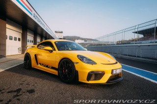Porsche 718 GT4