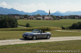 Jak si vydělat na vysněné auto