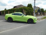 Ford Mustang GT 5,0 ROUSH  SUPERCHARGE