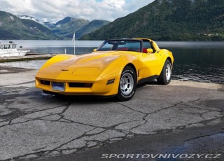 Chevrolet Corvette C3 Targa 1981