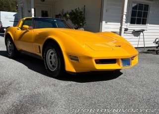 Chevrolet Corvette C3 Targa 1981
