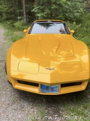 Chevrolet Corvette C3 Targa 1981